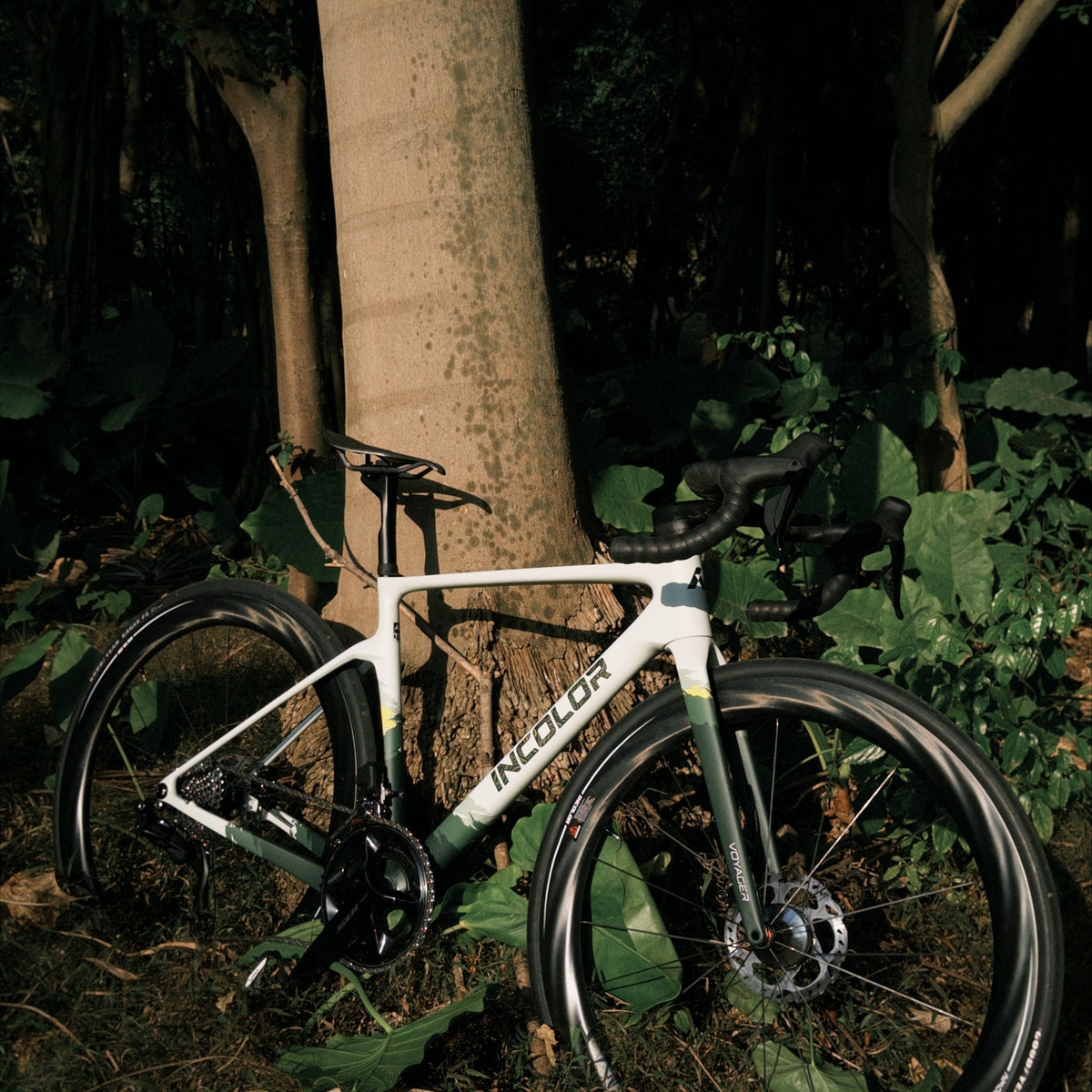 Cuadro Incolor Voyager Jungle, vista tres cuartos