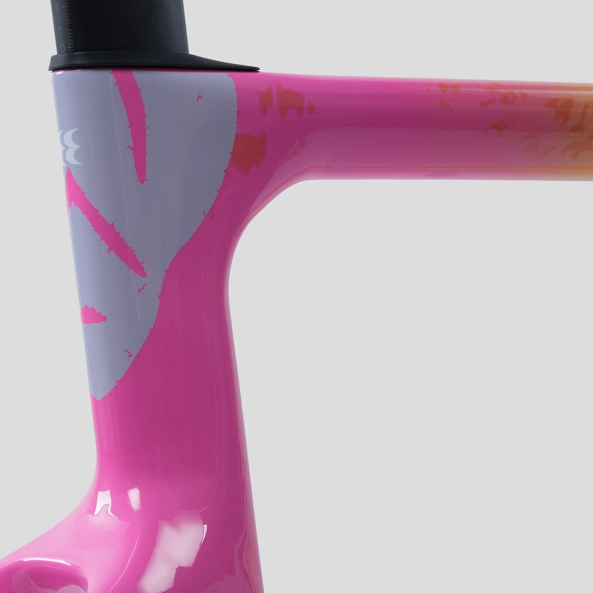 Evolve Artista Cima Dura-Ace Di2 Tropical bike, frame, paint detail