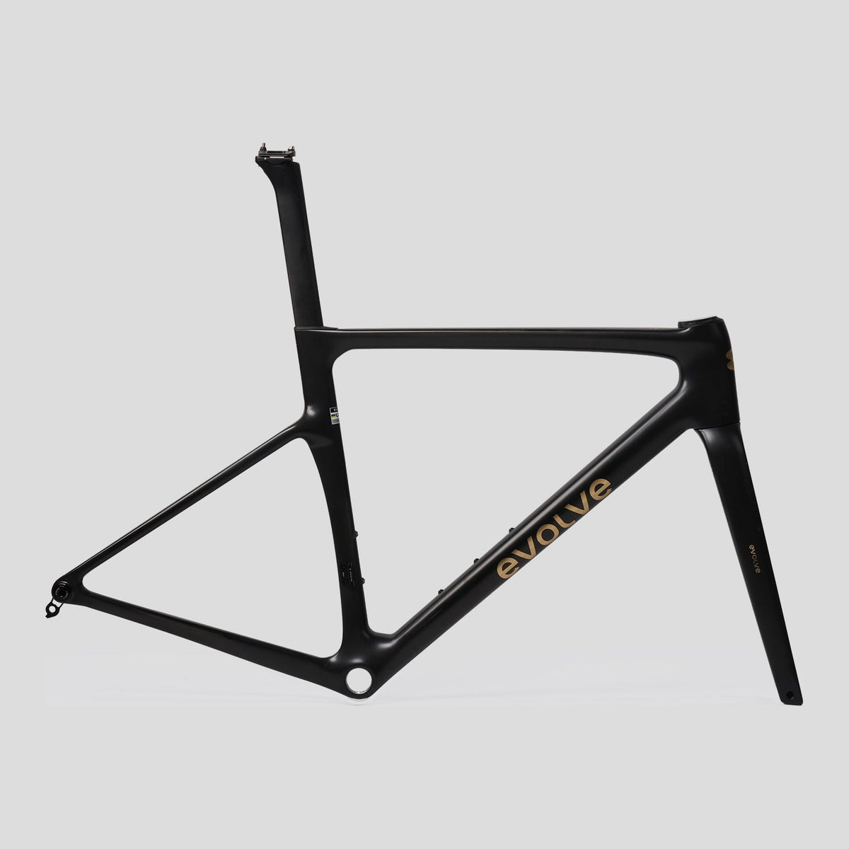 Bicicleta Evolve Artista Cima Red AXS Matte Black, cuadro, vista lateral
