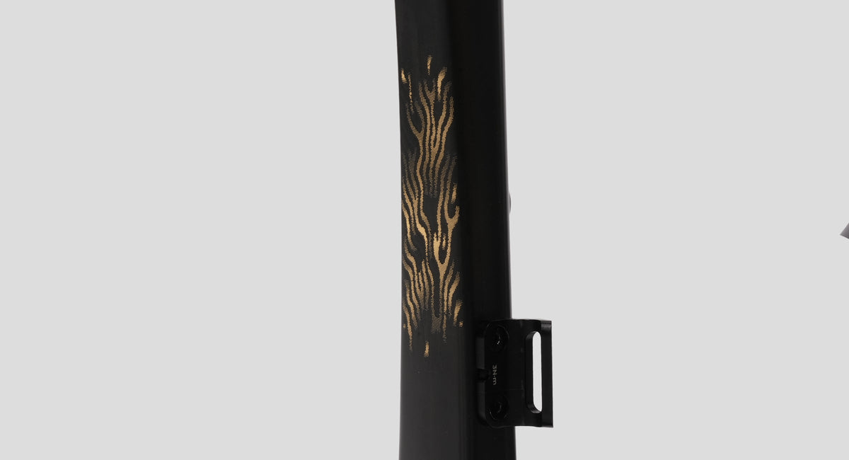 Rahmen Evolve CIMA Artist Matte Black, Lackdetail