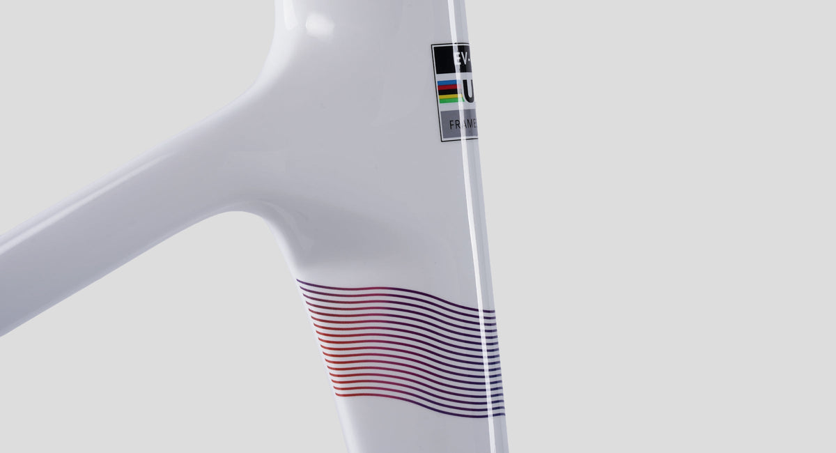 Rahmen Evolve CIMA Artist Team Edition, Lackdetail
