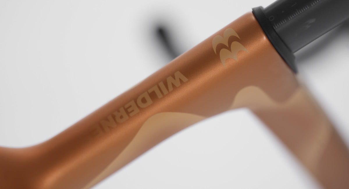 Rahmen Evolve CIMA Artist Wilderness, Lackdetail