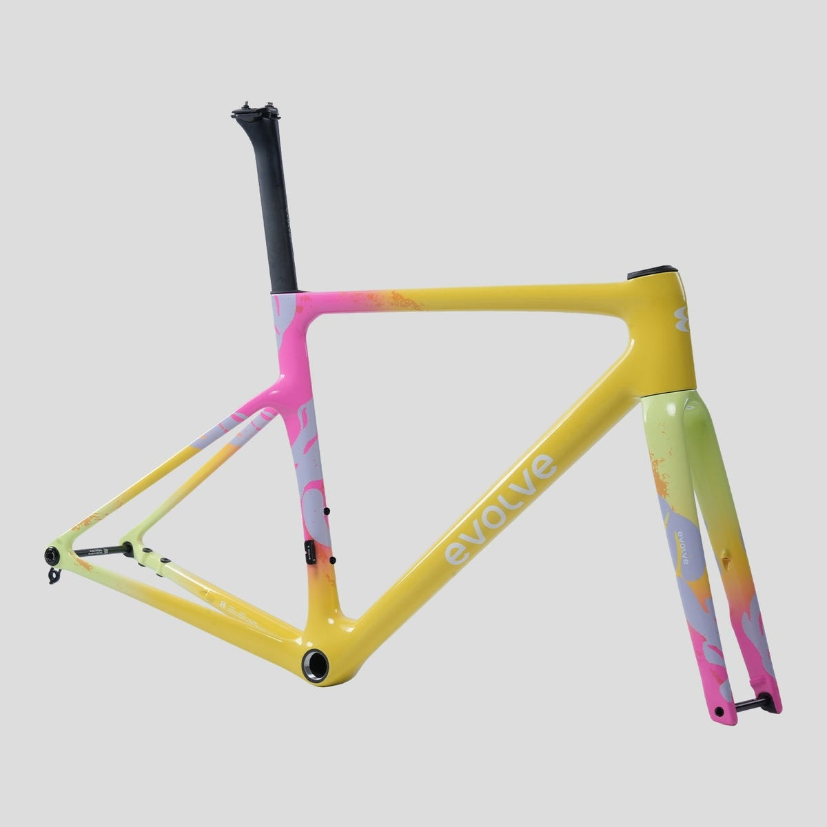 Vélo Evolve Artista Cima Ultegra Di2 Tropical, cadre, vue de trois quarts
