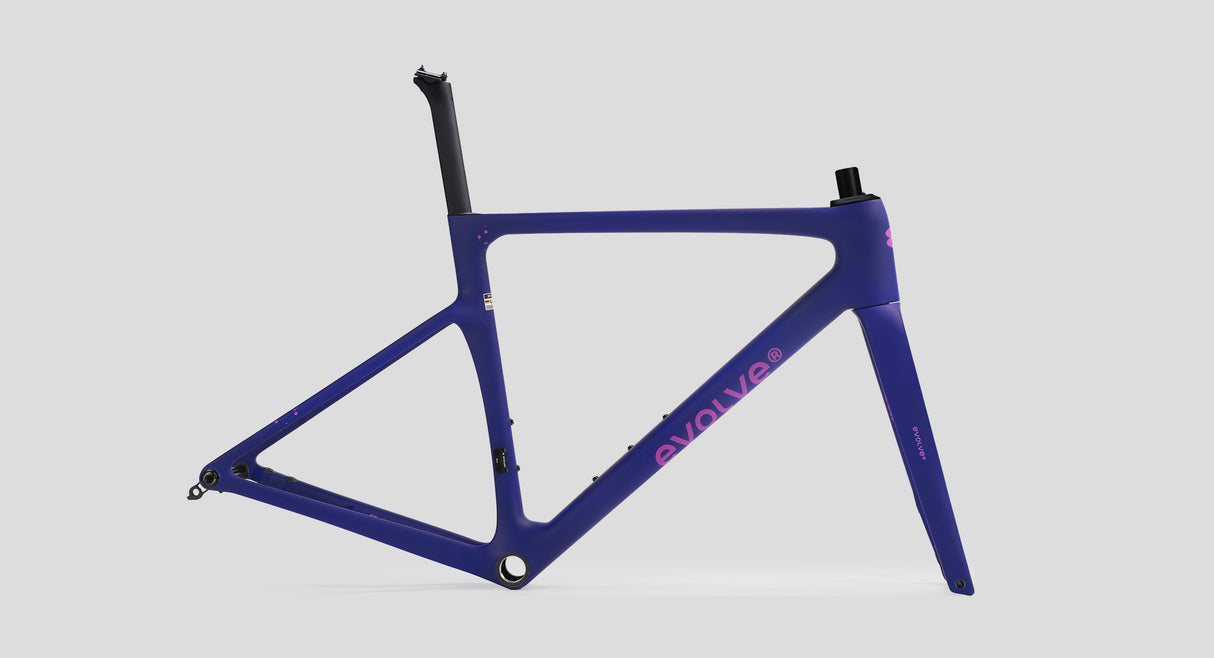 CUADRO EVOLVE ARTISTA CIMA SPEED