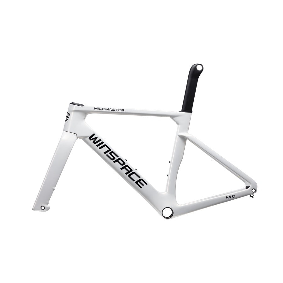 Rad Winspace M6 105 Di2 Chameleon White, Antriebsseite