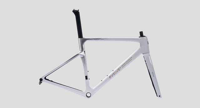 CUADRO EVOLVE ARTISTA CIMA WILLOW LOGO PEQUEÑO