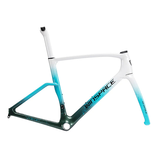 Cuadro carbono Winspace Agile