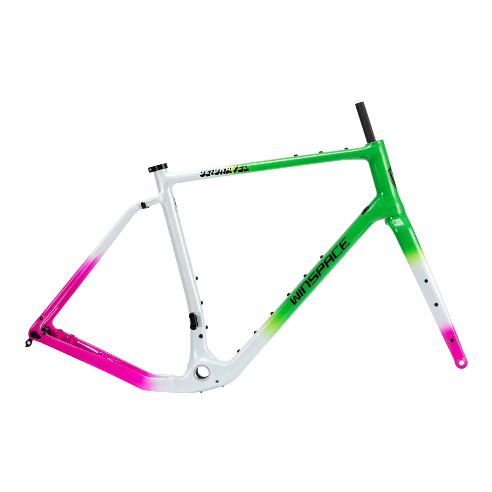 Cuadro carbono Winspace