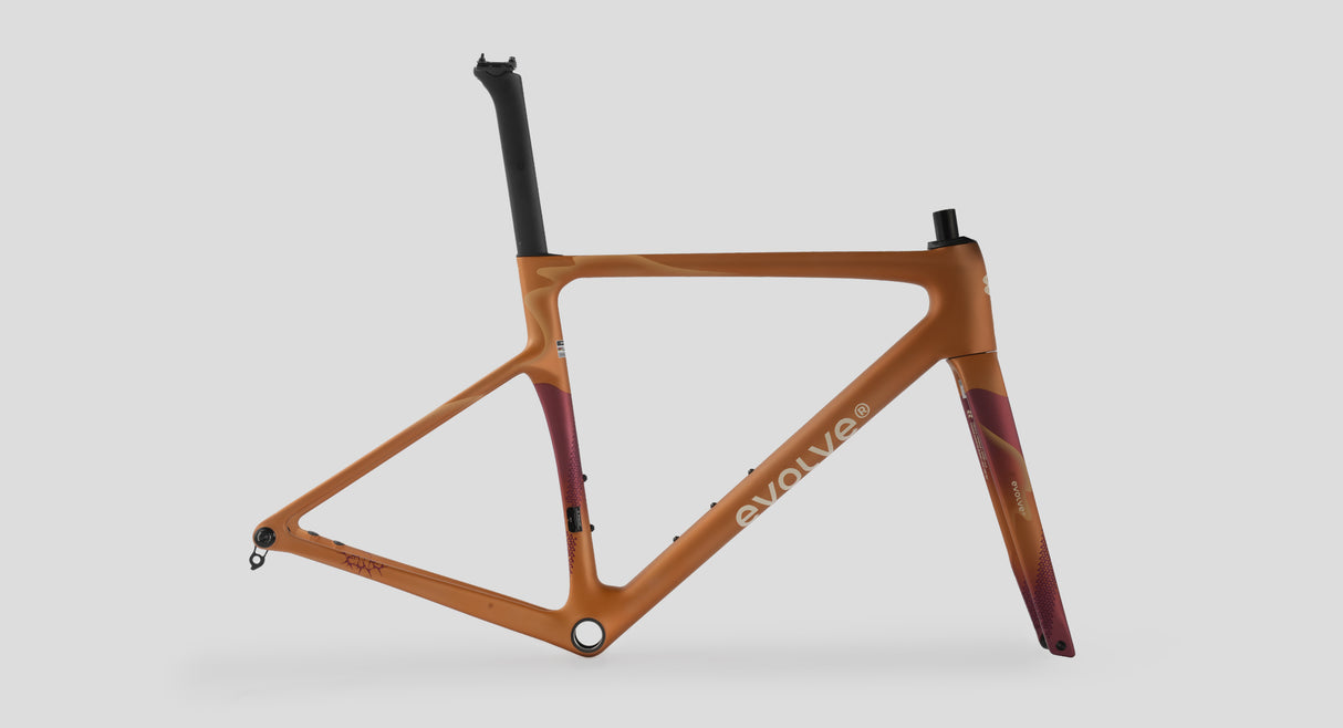 CUADRO EVOLVE ARTISTA CIMA DESIERTO LOGO GRANDE