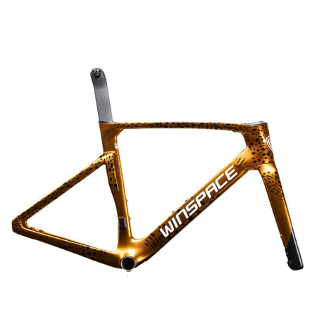 CUADRO WINSPACE T1600