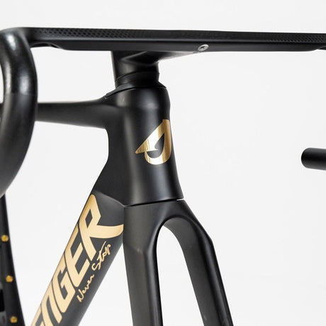 Bicicleta Avenger Shuttle SL Black Golden, Dreiviertelansicht