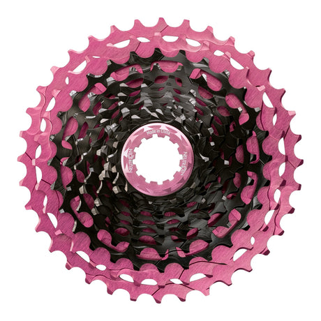Cassette 12v Neutron MK2 Rosa Sakura, Frontansicht