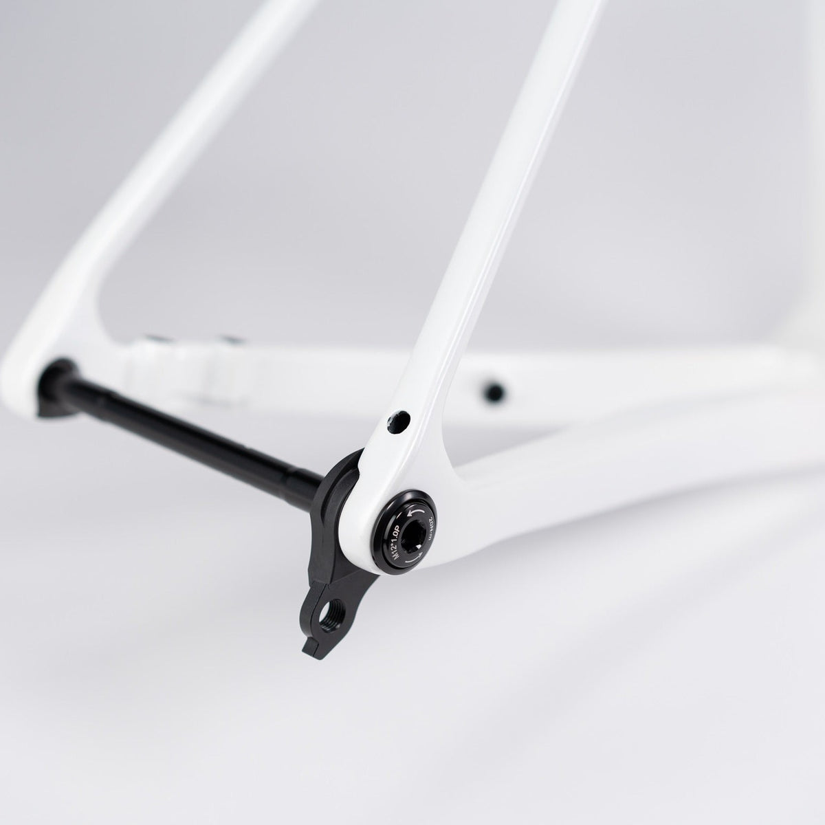 Cuadro Avenger Shuttle Pure White, dettaglio