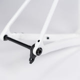 Cuadro Avenger Shuttle Pure White, dettaglio