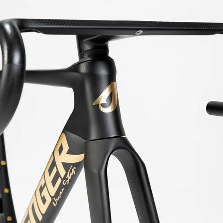 Cuadro Avenger Shuttle SL Black gold, Steuerrohr-Detail