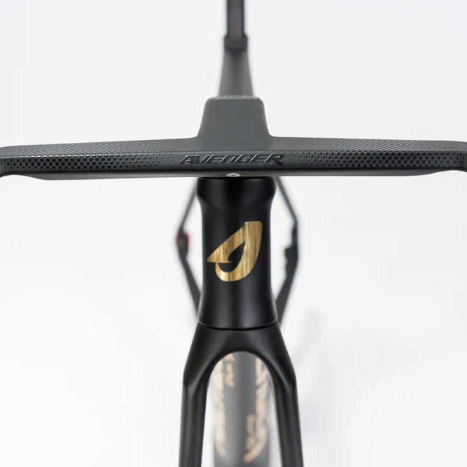 Cuadro Avenger Shuttle SL Black gold, vue de face