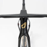 Cuadro Avenger Shuttle SL Black gold, vue de face