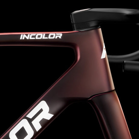 Cuadro Incolor SR SR+ Crimson Red, detalle del tubo de dirección