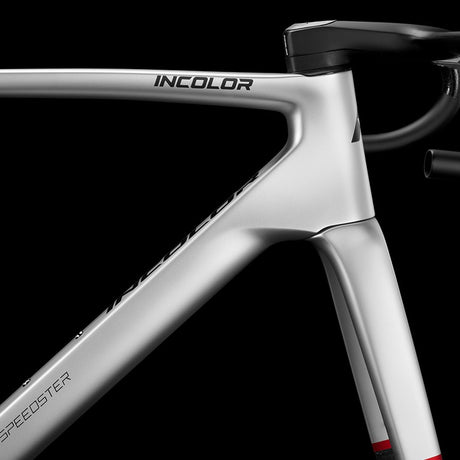 Cuadro Incolor SR SR+ Silverstone, detalle del tubo de dirección