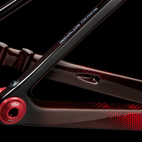 Cuadro Incolor SSR Scarlet, detalle