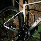 Cuadro Incolor Voyager Jungle, detalle
