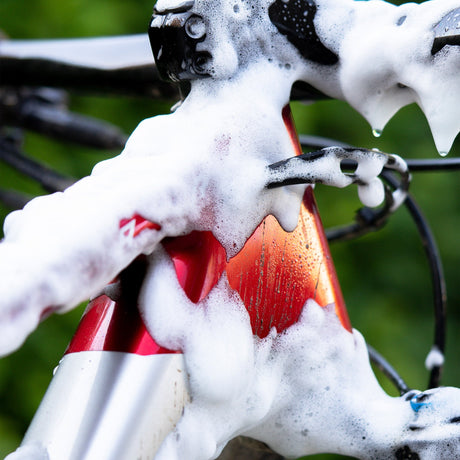 Cuidado de la Bicicleta E-Razer Formula 1 L, detalle
