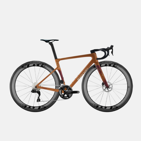 Rennrad Evolve Artista Cima 105 Di2 Wilderness, Seitenansicht mit großem Logo