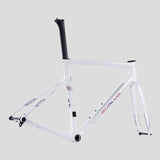 Evolve Artista Cima Dura-Ace Di2 Team Edition bike, frame, rear three-quarter view