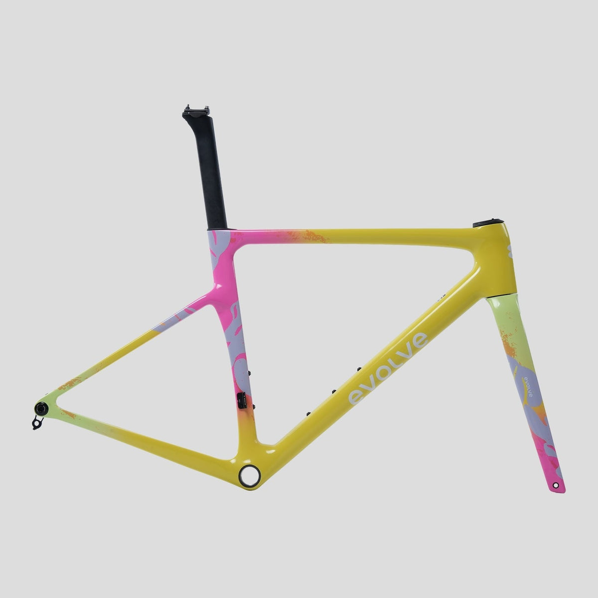 Evolve Artista Cima Dura-Ace Di2 Tropical bike, frame, side view
