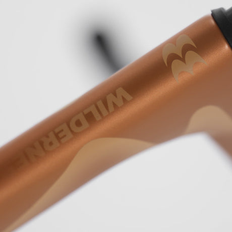 Rennrad Evolve Artista Cima Dura-Ace Di2 Wilderness, Rahmen, Lackdetail