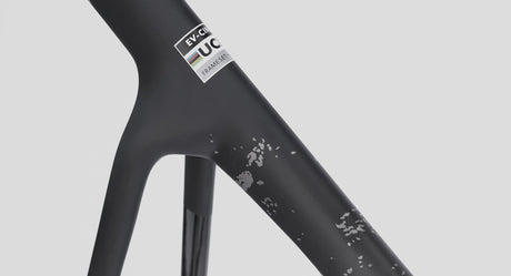 Cuadro Evolve CIMA Artist Speed - Nirvana detalle de la pintura