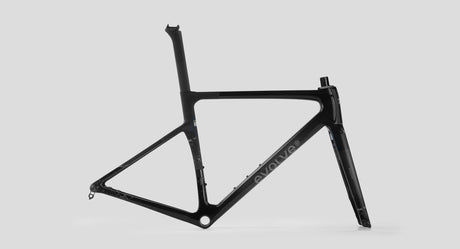 Cuadro Evolve CIMA Artist Speed - Nirvana vista lateral con logo grande