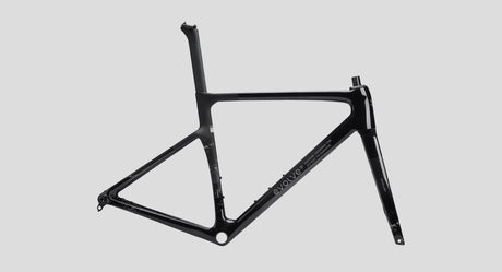 Cuadro Evolve CIMA Artist Speed - Nirvana vista lateral