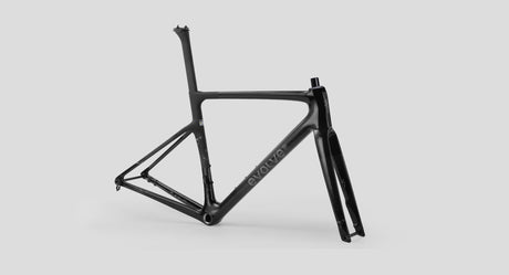 Cuadro Evolve CIMA Artist Speed - Nirvana vista tres cuartos