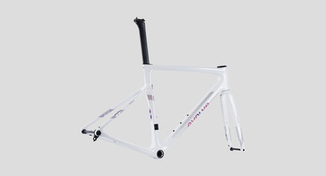Cuadro Evolve CIMA Artist Team Edition vista tres cuartos trasera