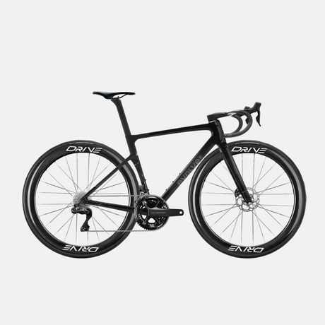 Rennrad Evolve Artista Cima Ultegra Di2 Speed - Nirvana, Seitenansicht mit großem Logo