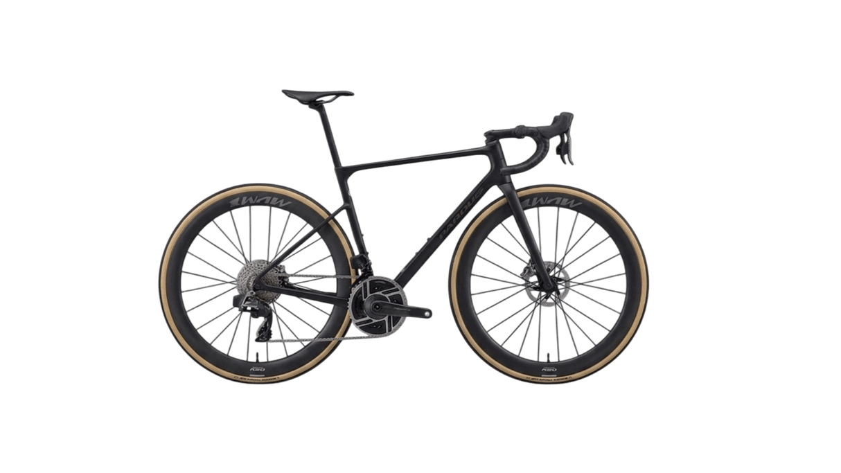 KIT DE CUADRO PARDUS SUPER LIGHT ROBIN EVO
