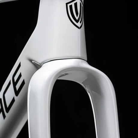 Telaio Winspace G5 Gravel Alpine White, dettaglio della forcella