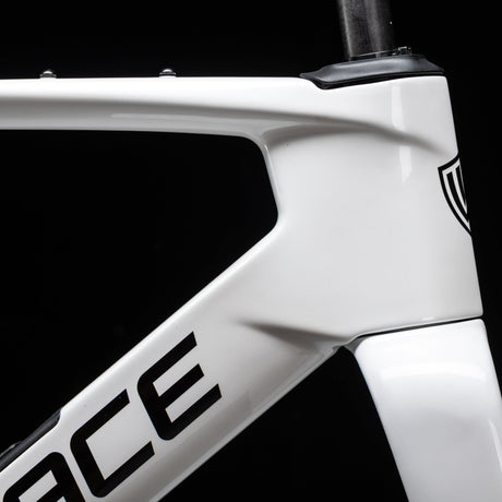 Bici Winspace G5 GRX 825 Di2 Alpine White, dettaglio della forcella