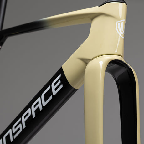Bici Winspace G5 GRX 825 Di2 Dune Fade, dettaglio della forcella