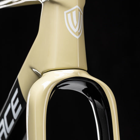 Winspace G5 SRAM Rival AXS XPLR Dune Fade bike, fork detail