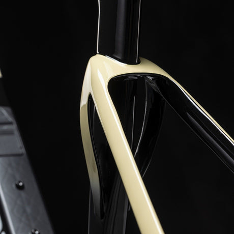Winspace G5 SRAM Rival AXS XPLR Dune Fade bike, chainstay detail