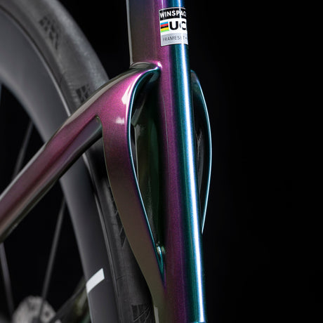 Winspace T1600 Ultra Dura-Ace Di2 Nebula Green bike, chainstay detail